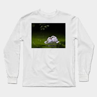 Swan Lake Long Sleeve T-Shirt